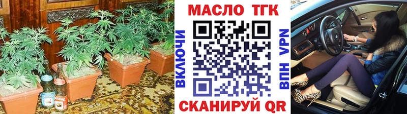 Купить закладки  Сольвычегодск  ТГК THC oil 