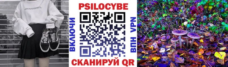 Псилоцибиновые грибы Psilocybine cubensis  Купить где  Сольвычегодск 